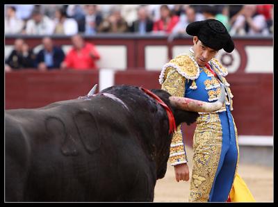 José Tomás, la deseada vuelta del ídolo